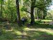 Nasze pierwsze grillowanie w tym roku fotografia nr 6