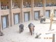 Wycieczka do Łódzkiego ZOO fotografia nr 6